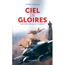 CIEL DE GLOIRES - HISTOIRE DES AS AU COMBAT