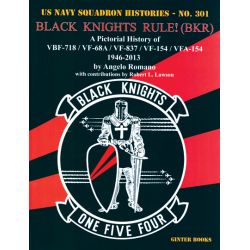 BLACK KNIGHTS RULE (BKR) US NAVY SQN HISTORIES 301