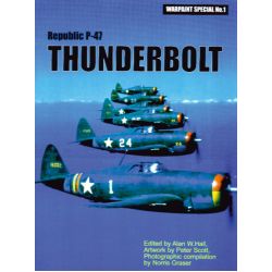 REPUBLIC P-47 THUNDERBOLT       WARPAINT SPECIAL 1