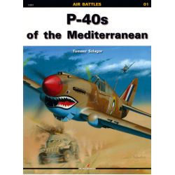 P-40S OF THE MEDITERRANEAN          AIR BATTLES 01