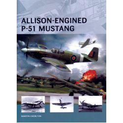 ALLISON-ENGINED P-51 MUSTANG                 AVG 1