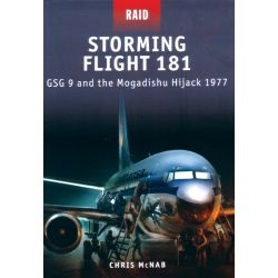 STORMING FLIGHT 181                        RAID 19