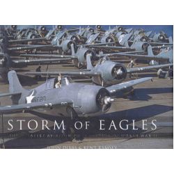 STORM OF EAGLE - THE GREATEST AVIATION PHOTO WWII