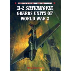 IL-2 SHTURMOVIK GUARDS UNITS OF WW2      COMBAT 71
