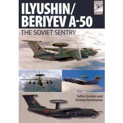 ILYUSHIN/BERIYEV A-50                FLIGHTCRAFT 6