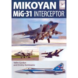 MIKOYAN MIG-31 INTERCEPTOR         FLIGHTCRAFT 8