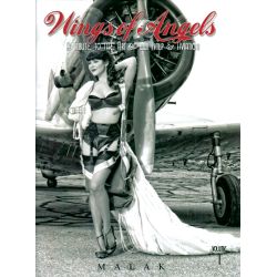 WINGS OF ANGELS T1  TRIBUTE TO THE WWII PIN UP