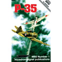 P-35                             MINI IN ACTION  1