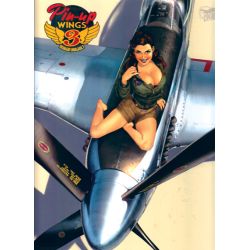 PIN-UP WINGS 3                           ED.PAQUET