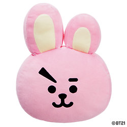 Coussin Cooky