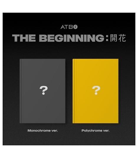 ATBO - The Beginning