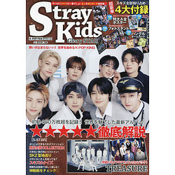 Stray Kids - K-Pop Fan vol.021