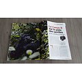 REPONSES PHOTO n°324 mars 2019  Les clés d'une exposition parfaite/ Le Canon R sur la piste des gorilles/ Nick Brandt/ Ayline Olukman