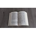 "L'Elysée. Histoire, secrets, mystères" Patrice Duhamel & Jacques Santamaria/ Très bon état/ 2018/ Livre poche