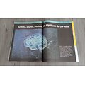 SCIENCE MAGAZINE n°78 mai-juillet 2023  Fin du plastique: Les découvertes de la bioéconomie/ Le bouleversement quantique/ Les mystères du cerveau/ Le Sphinx