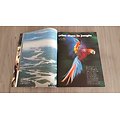 TERRE SAUVAGE n°86 août 1994  Les dauphins de la pleine Lune/ Guide nature: Sentiers basques/ Amazonie: la rivière sans retour