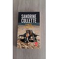 "Il reste la poussière" Sandrine Collette/ Très bon état/ 2017/ Livre poche
