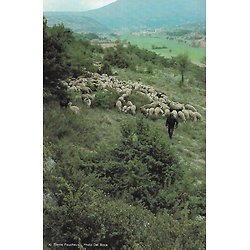 "Jean de Florette. L'eau des collines I" Marcel Pagnol/ Très bon état/ 1973/ Livre poche  