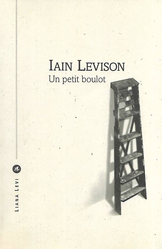 "Un petit boulot" Iain Levison/ Excellent état/ Livre broché