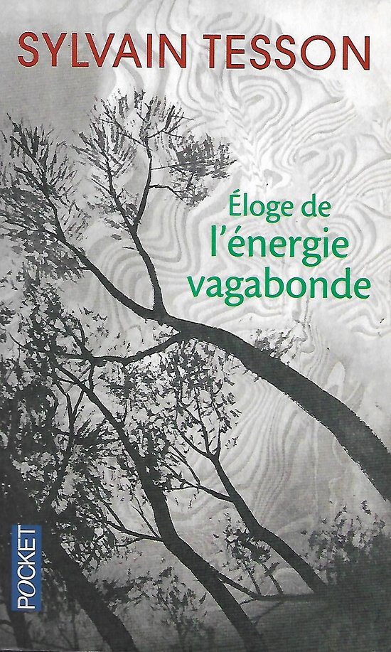 "Eloge de l'énergie vagabonde" Sylvain Tesson/ Très bon état/ 2015/ Livre poche 