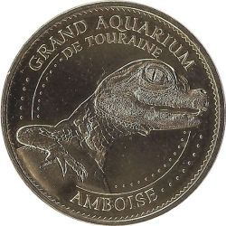 Aquarium Du Val De Loire 3