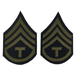 TECHNICIAN STAFF SERGEANT (TSSG)