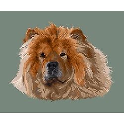 Chow-chow fauve III diagramme couleur