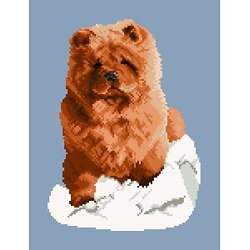 Chow-chow rouge diagramme couleur