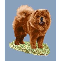 Chow-chow rouge II diagramme couleur