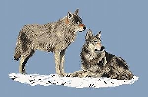 Couple de loups diagramme couleur