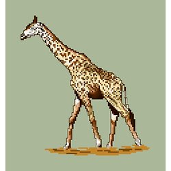 Girafe diagramme couleur