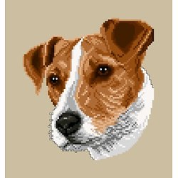 Jack russell diagramme couleur .pdf