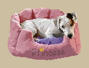 Jack russell III diagramme couleur
