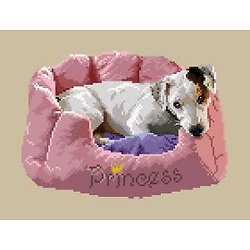 Jack russell III diagramme couleur .pdf
