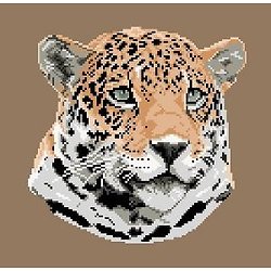 Jaguar diagramme couleur