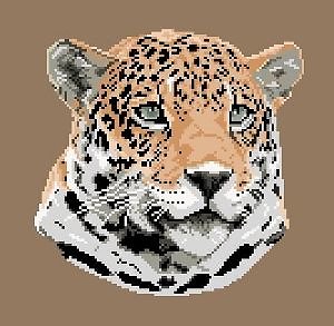 Jaguar diagramme couleur .pdf