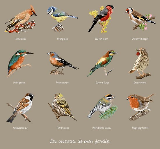 Les oiseaux de mon jardin diagramme couleur .pdf