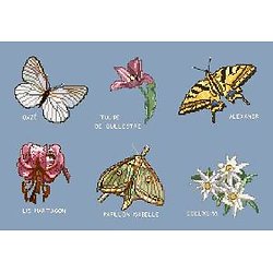 Papillons et fleurs de montagne diagramme couleur .pdf