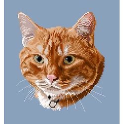 Portrait de chat IV diagramme couleur .pdf