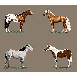 Races de chevaux américaines diagramme couleur .pdf