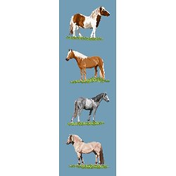 Races de poneys diagramme couleur