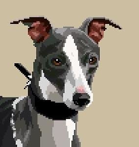 Whippet diagramme couleur