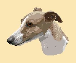 Whippet II diagramme couleur