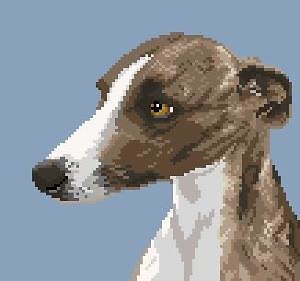Whippet III diagramme couleur