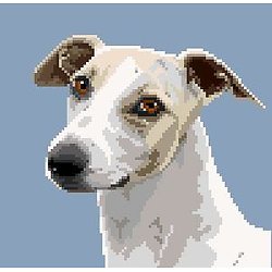 Whippet IV diagramme couleur