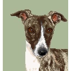 Whippet V diagramme couleur