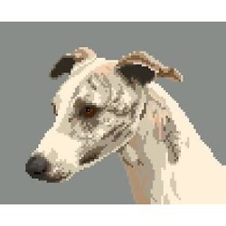 Whippet VII diagramme couleur
