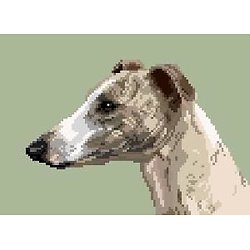 Whippet VIII diagramme couleur