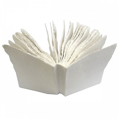 CARNET NATURE papier coton