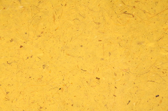 Papier banane - jaune  95x65cm